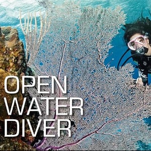 SSI Open Water